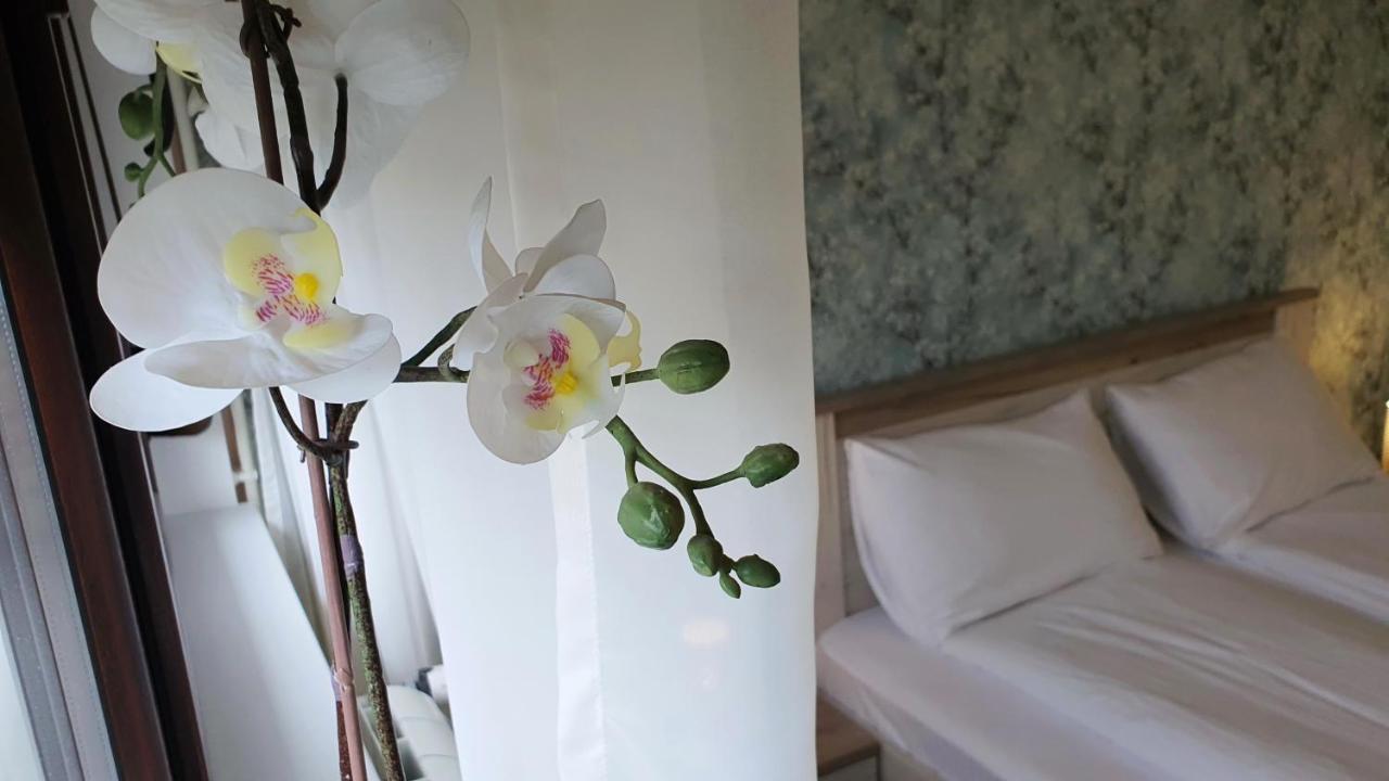Apartments Spring Cacak Luaran gambar