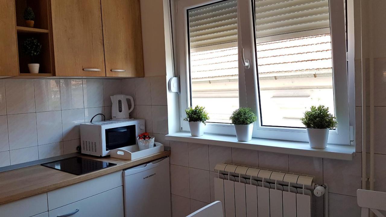 Apartments Spring Cacak Luaran gambar